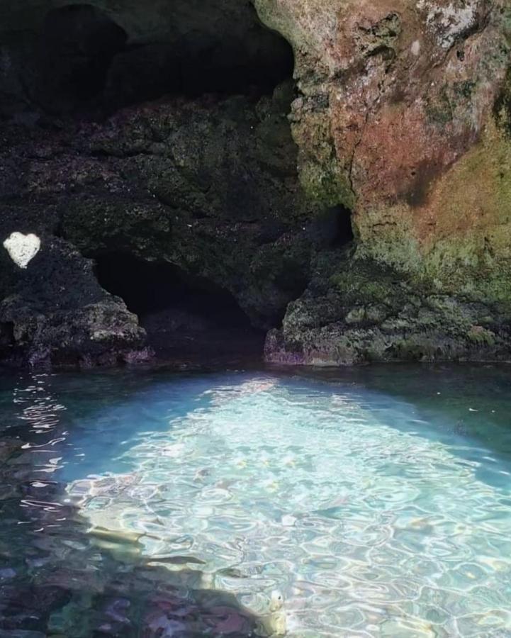 Vila Dimora Silcla1 Polignano a Mare Exteriér fotografie