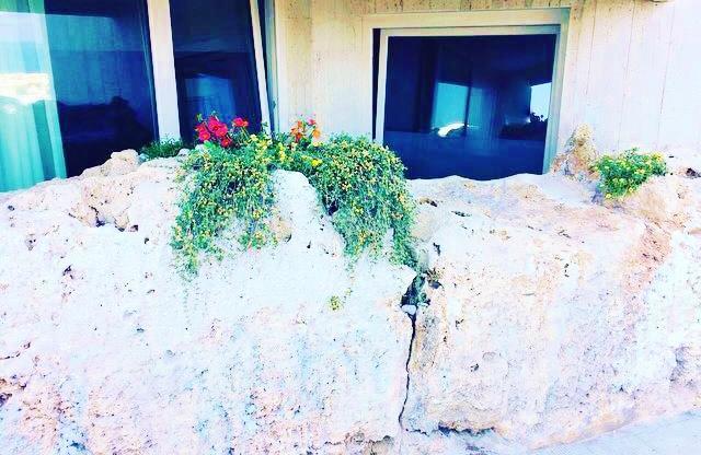 Vila Dimora Silcla1 Polignano a Mare Exteriér fotografie